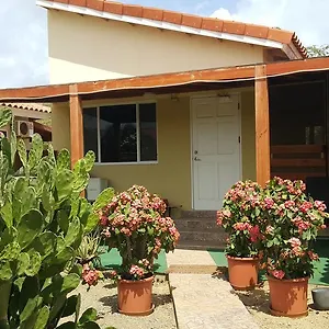 Apartment Bubali Palm Beach